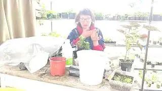 Как то накипело что ли....