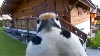 🤨