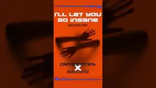 PRE-ORDER / SAVE NOW‼️⁠  PLEXIPHONES x Maurice Da Vido - I'll Let You Go Insane (Beach House Remix)