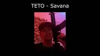 Teto - Savana (Prévia)