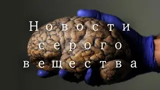 Новости серого вещества