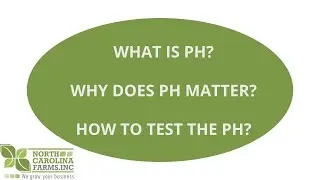 How To Test The PH in Your Greenhouse