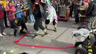 New york chinese new year 2025