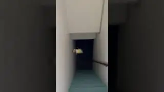 Throwing my Fox McCloud plush down the stairs #starfox  #memes #nintendo
