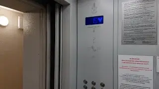 Лифты МЛМ 2020 г. @ ЖК Факел, д. 1к3, под. 2 (г. Владимир)