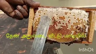 Honey harvesting || வீட்டு மாடியில் தேன் அறுவடை || Easy method