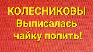 Семья Колесниковых/Новости из Дворца.