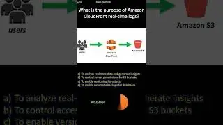 AWS CloudFront |  What is the purpose of Amazon CloudFront real-time logs?