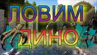 ARK ЛОВЛИМ ДИНО