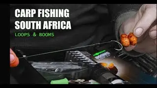 Korda Loops and Booms