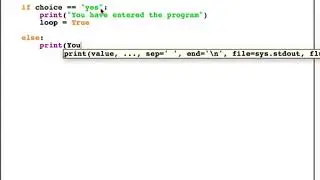 Simple While Loop example Python