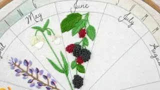Phenology Wheel, Video 7 - June