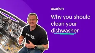 Why you should clean your dishwasher | Asurion
