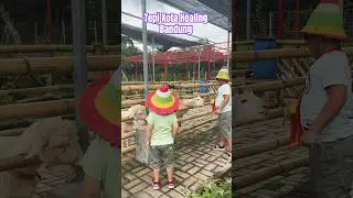 Jalan-jalan murah di Bandung @Tepi kota Healing 😎 