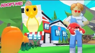 😱NUEVO CABALLITO DE MAR Y CANGREJO Y FECHA OFICIAL +  HORA DE CADA *PAIS* 🌴 ADOPT ME HUEVO OCEANO
