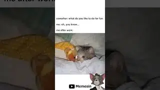 Daily Funny Memes 384 | Funny Memes Compilation | Memes