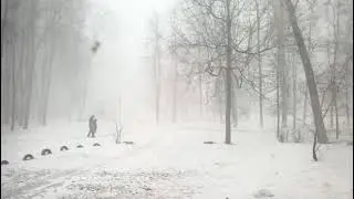 Метель в Брянске (07.03.2021)