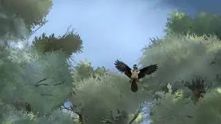 The forest awakens animation