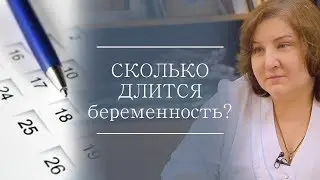 Сколько длится беременность?