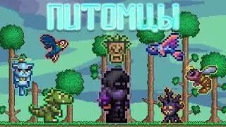 [Terraria Гайд] ПИТОМЦЫ (Pets)