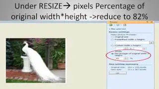 resize photo in kb
