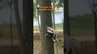 #череповец #вологда