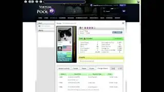 VP4 Online Website Introduction and My Profile Page