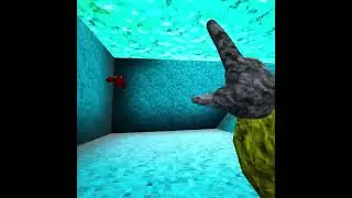 Video of me playing scary baboon