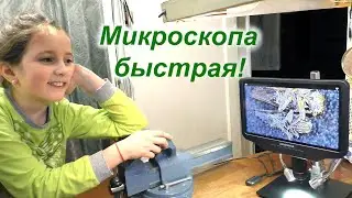 Путёвый обзор AD409 Pro с Екатериной Дмитриевной