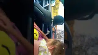 26 августа 2024 г.