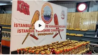 İYCC Yorkshire Club Yarışması