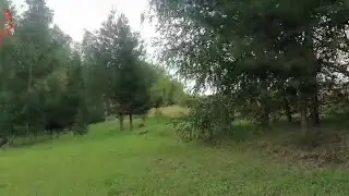 Роматик.