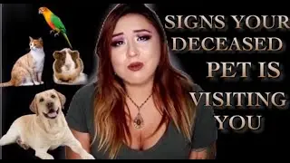 SIGNS YOUR DECEASED PET IS VISITING YOU | HOW TO COPE WITH DEATH