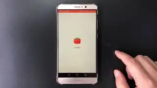 The Settings of Tomato App in Android phones