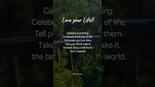 Love Your Life | Life Quotes | Meaningful Quotes | Best Inspiring Quote #shorts #inspiration #quotes