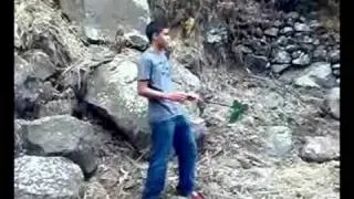 digibolucion