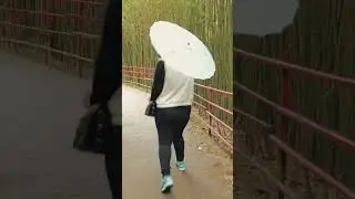 Baguio Video Dump #baguiocity