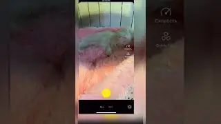 Как записать сделать коллаб в Yappy