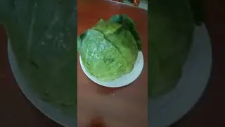 GIANT CABBAGE/REPOLYO #shortvideos
