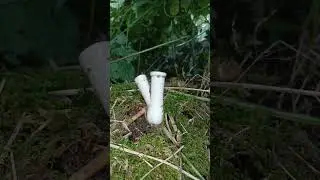 Вещь !!!