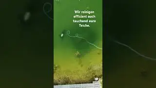 Teichreinigung sind wichtige! Hier wird die Funktion eines Löschteiches sichergestellt. #teich