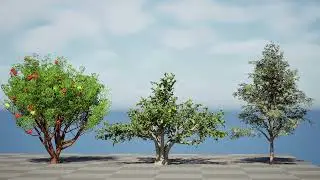 Moroccan Tree Pack 3d animation with unreal engine