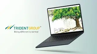 Trident | Marmeto | Online Store Development I Platform Migration