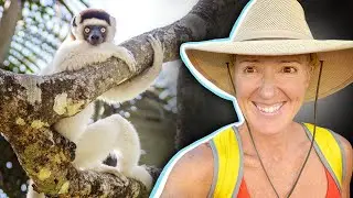 Lemurs And Life Lessons: Protecting What Matters Most