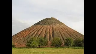 На Донбассе спеют абрикосы...
