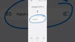 Amazfit GTR4 Incoming call notification issues 