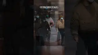 陸虎女為啥橫行？因為情婦與白手套是權力的必需品