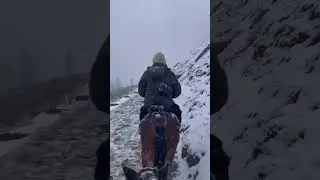 live snowfall in Kashmir 2024 #shorts #snowfall #kashmir