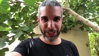 פחד מעונג שמחה והנאה