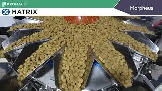 Matrix Morpheus VFFS Bagging System Packaging Dog Food Treats | ProPac.com